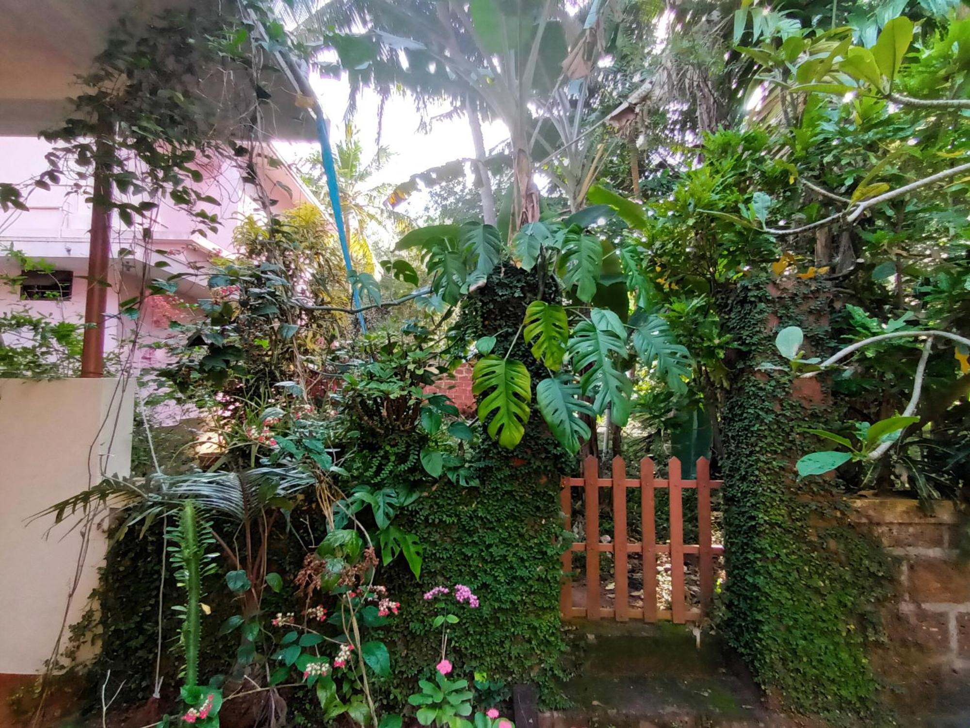 Hotel Ivory Coaste Kannur Exterior foto